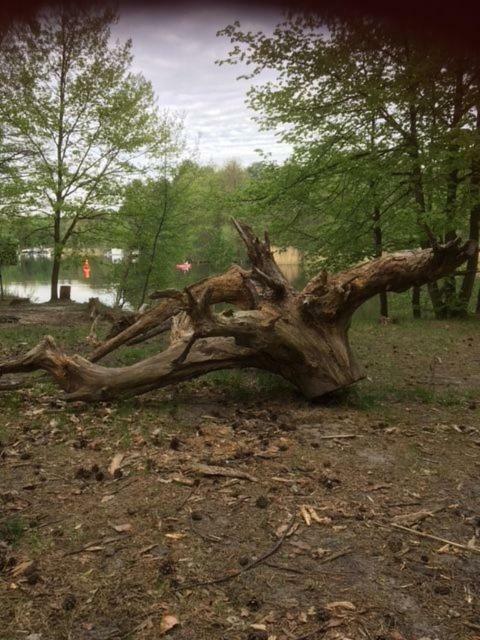 Ferienappartements Am See Schorfheide Εξωτερικό φωτογραφία